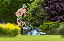 Lawn Mowing