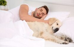 Sleeping with Pets